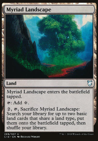 Myriad Landscape (Mannigfaltige Landschaft)